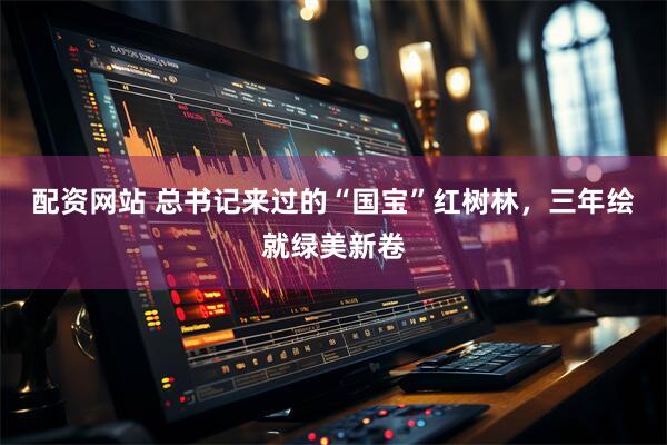 配资网站 总书记来过的“国宝”红树林，三年绘就绿美新卷